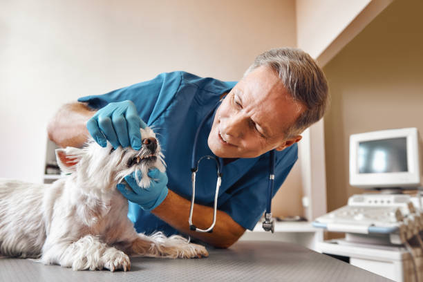 Trusted OK Emergency Dental Service Experts